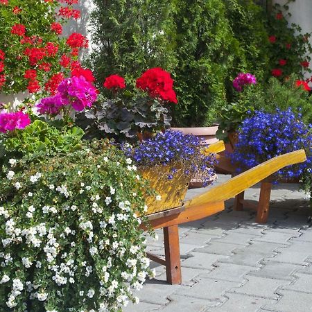 Hotel Cosmos Moldvahosszúmező Kültér fotó
